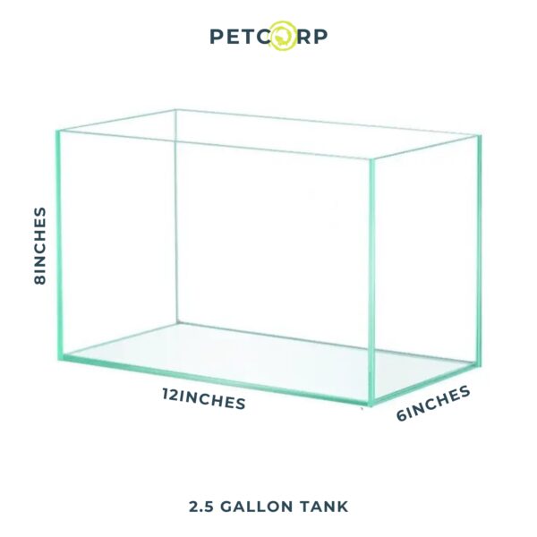 Aquarium Tanks