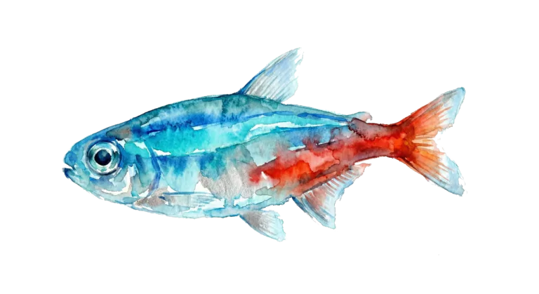 NeonTetra-Water-Color